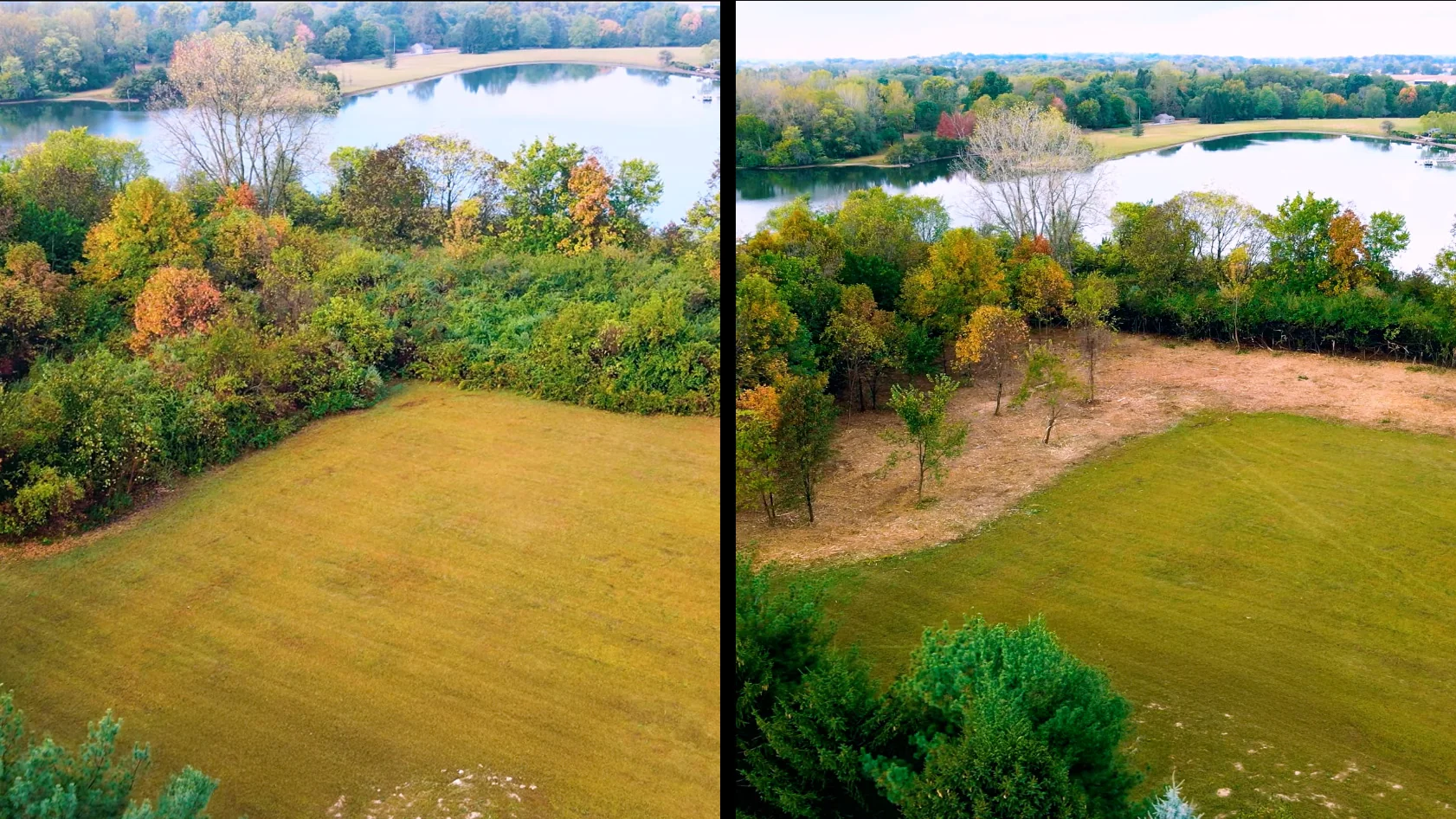 Before and after forestry mulching showing backyard expansion in Michigan